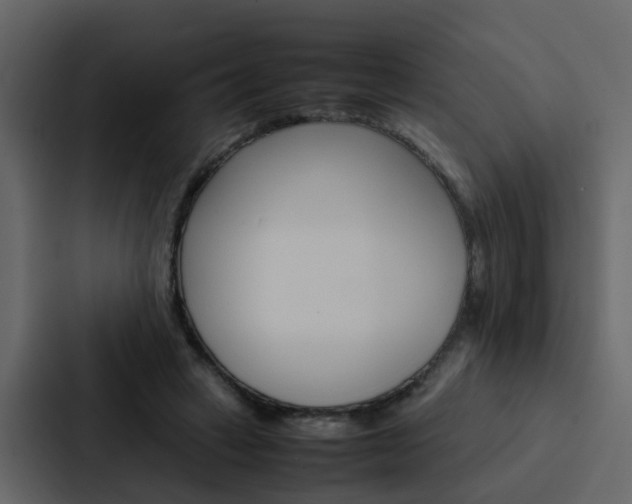 X0000088150449200705141055