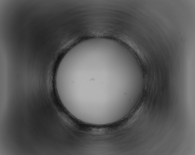 X0000088150450200705141055