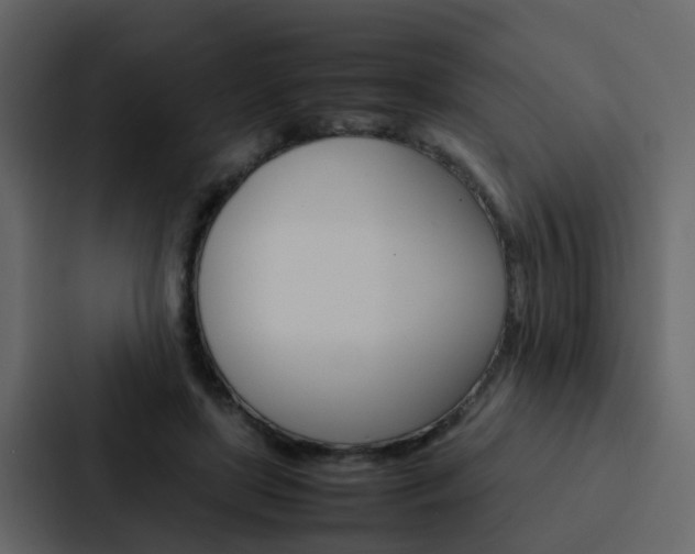 X0000088150451200705141055