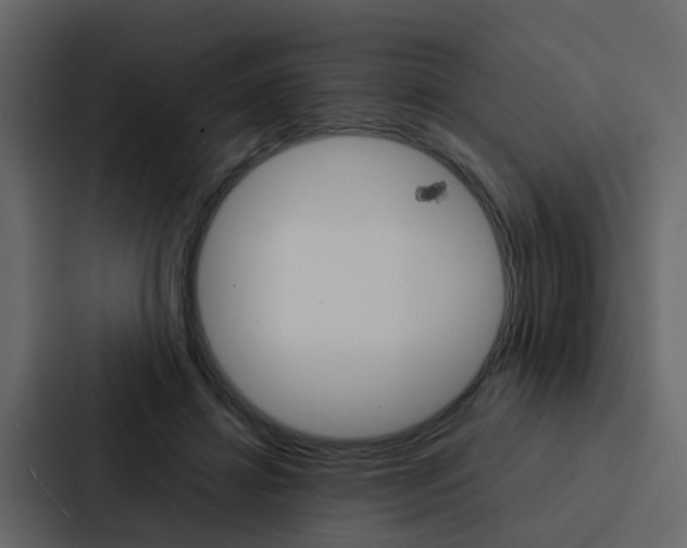 X0000088150452200705141055