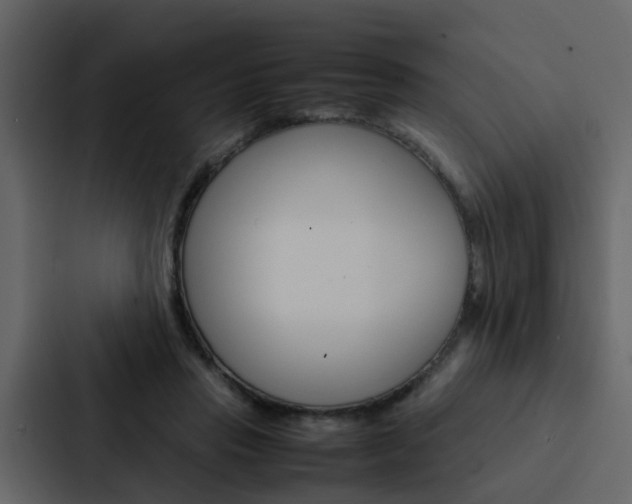 X0000088150453200705141055