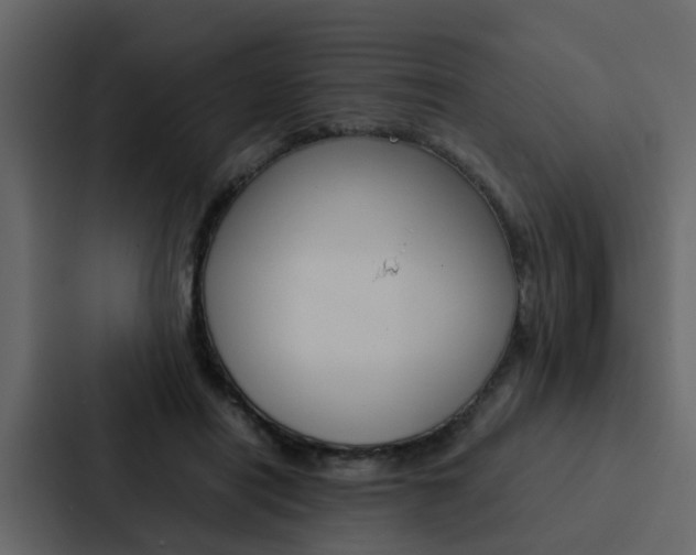 X0000088150454200705141055