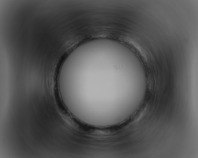 X0000088150455200705141055