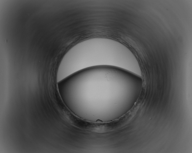 X0000088150456200705141055