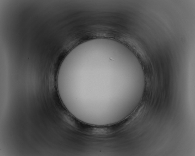 X0000088150457200705141055