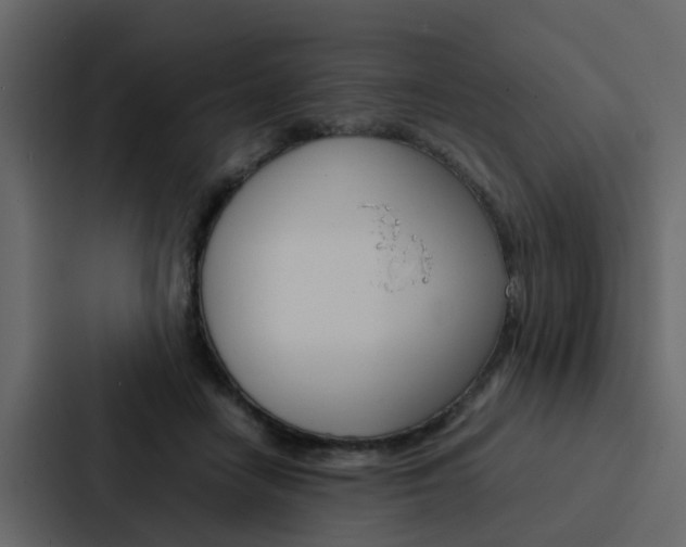 X0000088150458200705141055