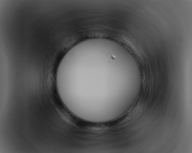 X0000088150459200705141055