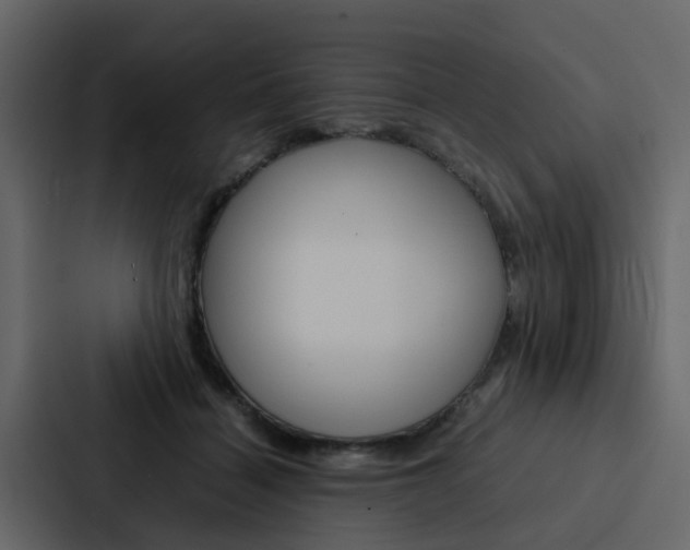 X0000088150460200705141055