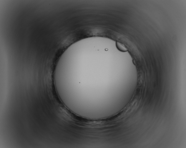 X0000088150461200705141055