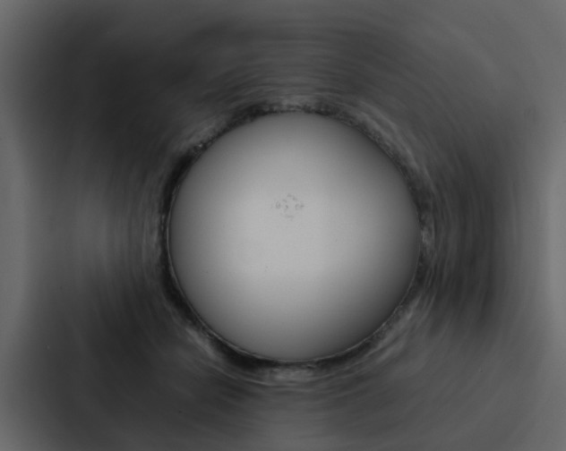 X0000088150462200705141055