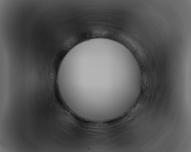 X0000088150463200705141055