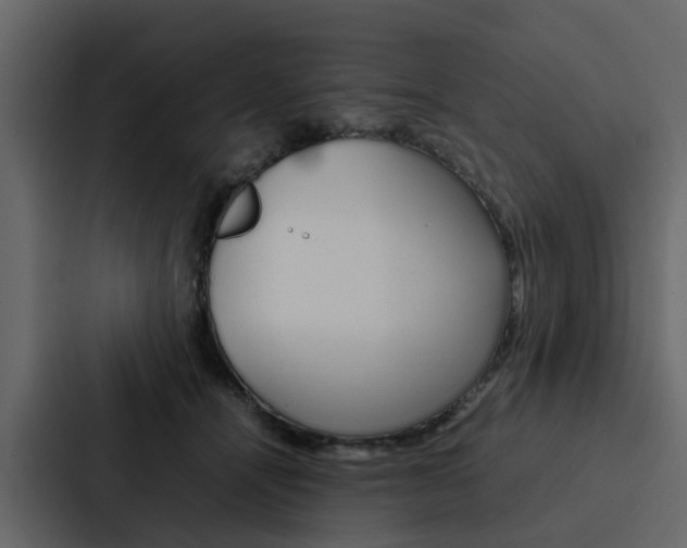 X0000088150464200705141055