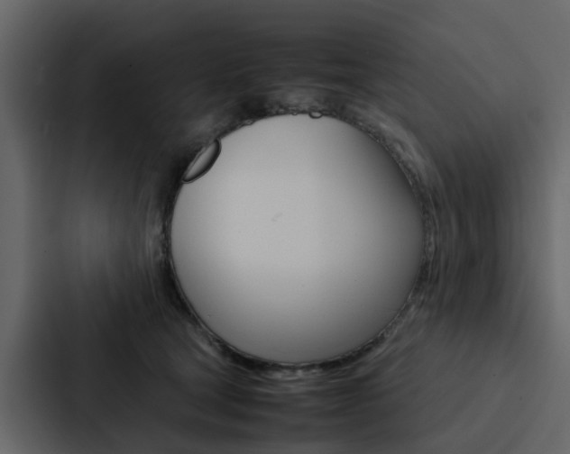 X0000088150465200705141055