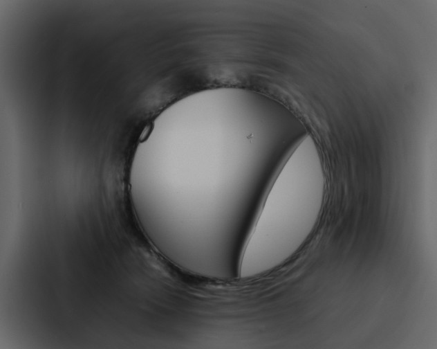 X0000088150466200705141055