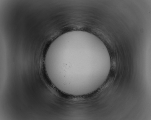 X0000088150468200705141055