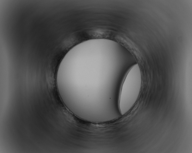 X0000088150469200705141055