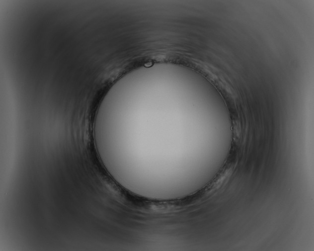 X0000088150470200705141055