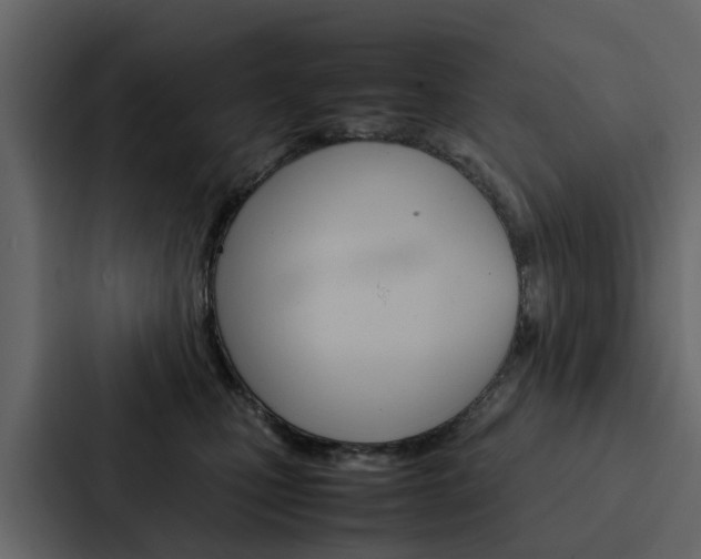 X0000088150471200705141055