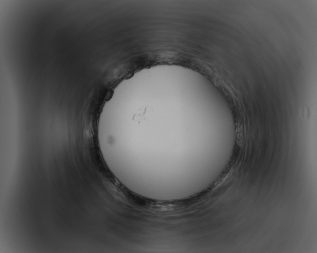 X0000088150472200705141055