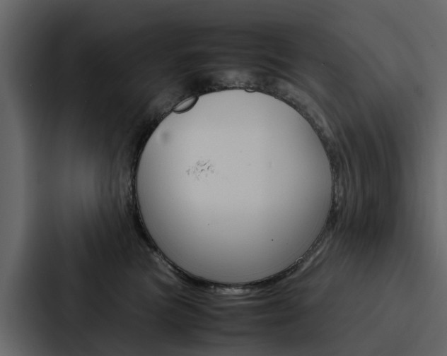 X0000088150473200705141055