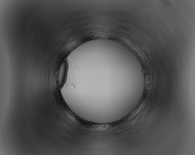 X0000088150474200705141055
