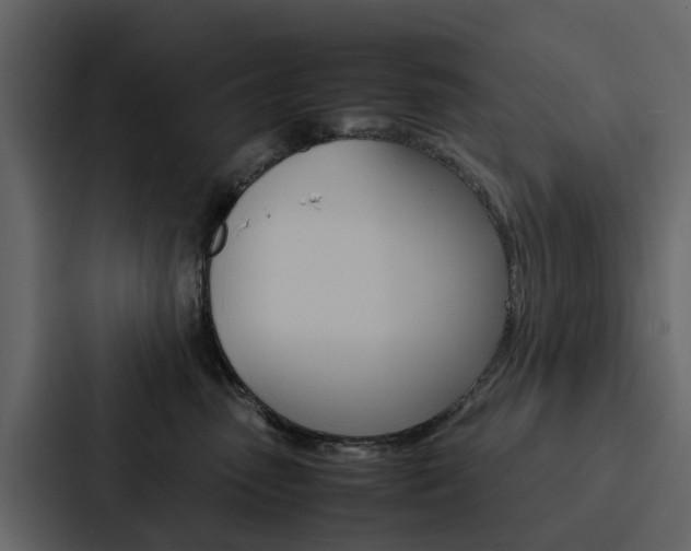 X0000088150475200705141055