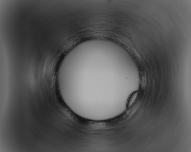 X0000088150476200705141055
