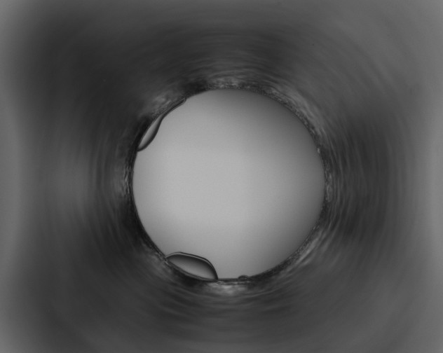 X0000088150477200705141055