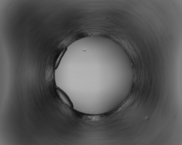 X0000088150478200705141055