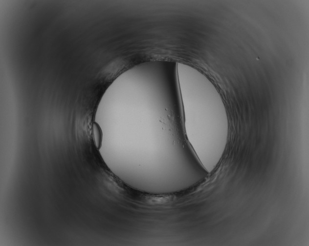 X0000088150479200705141055