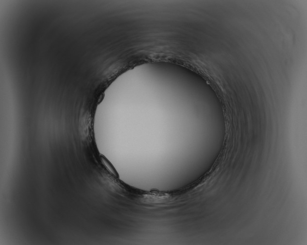 X0000088150480200705141055