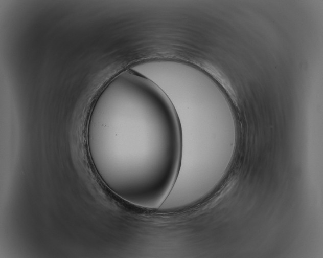 X0000088150481200705141054