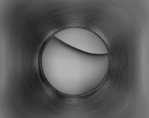 X0000088150482200705141054