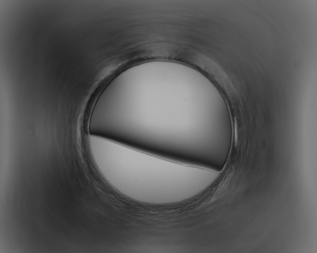 X0000088150483200705141054