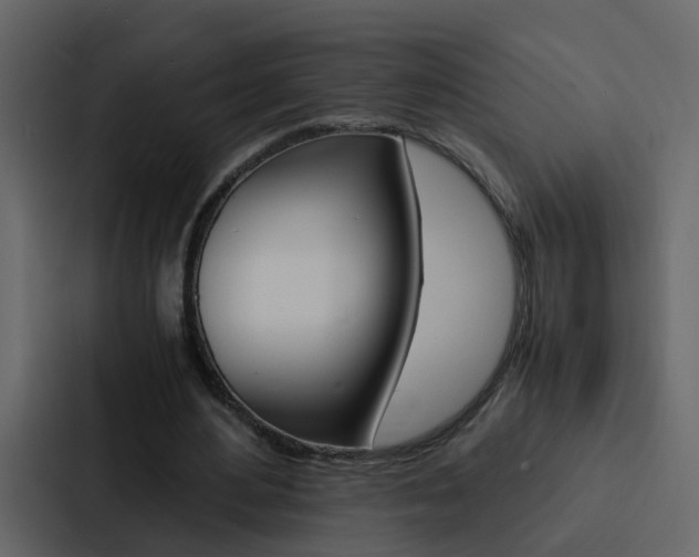 X0000088150484200705141054