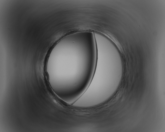 X0000088150485200705141054