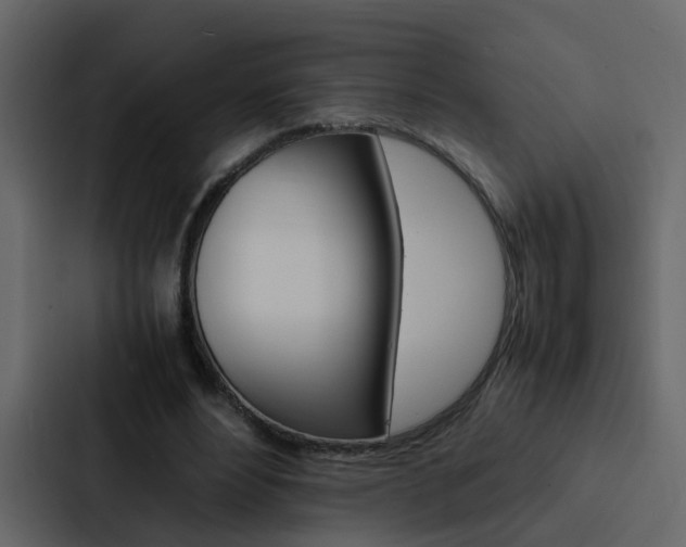 X0000088150488200705141054