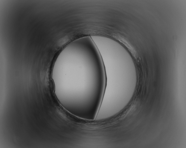 X0000088150489200705141054