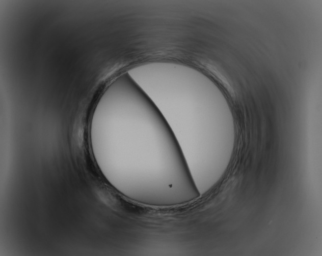 X0000088150491200705141054