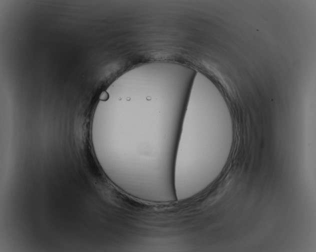 X0000088150495200705141054