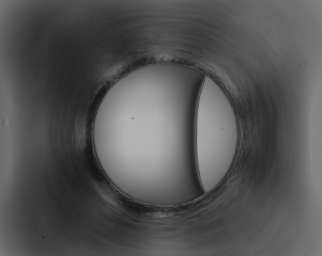X0000088150496200705141054