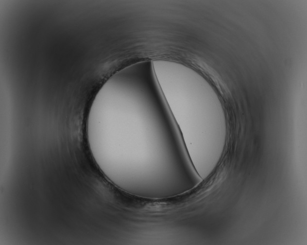 X0000088150497200705141054