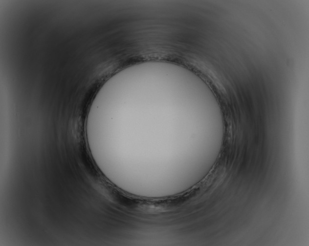 X0000088150498200705141054