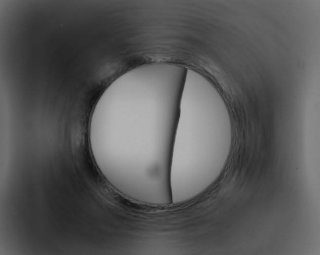 X0000088150499200705141054