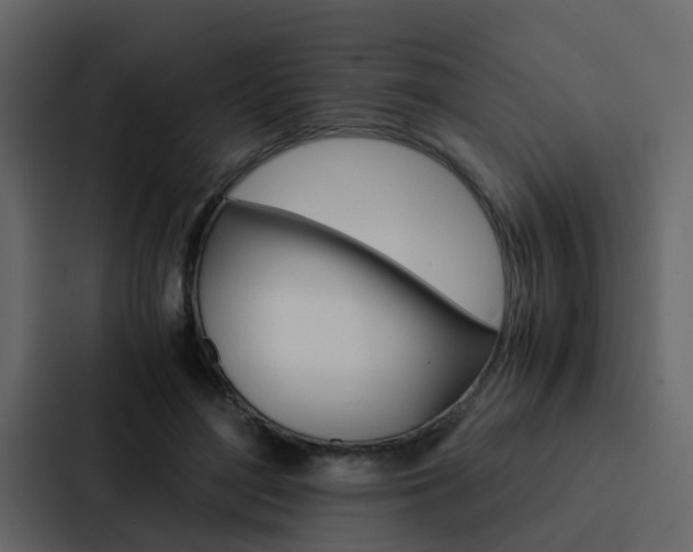 X0000088150500200705141054