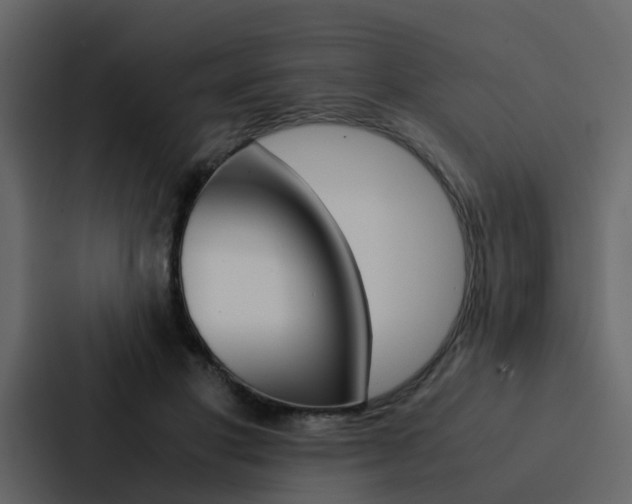 X0000088150501200705141054