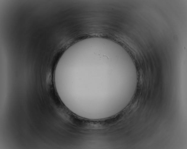 X0000088150502200705141054