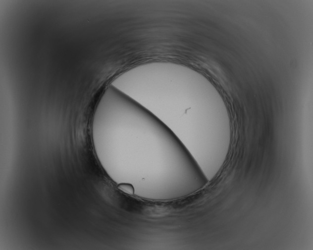 X0000088150503200705141054