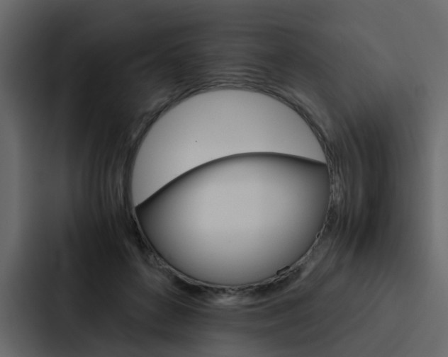 X0000088150504200705141054