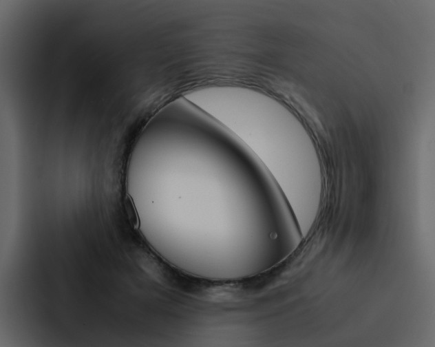 X0000088150505200705141054